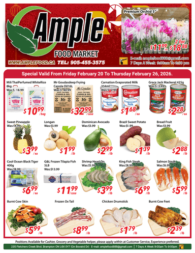 Brampton weekly flyer